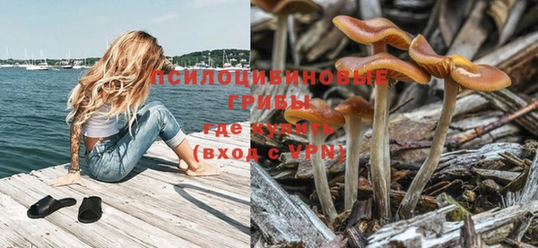 ALPHA PVP Волосово
